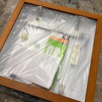 Lapadario  linealighet