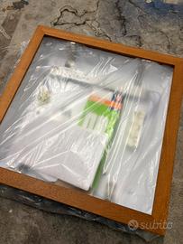 Lapadario  linealighet