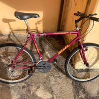 Bicicletta Mountain bike