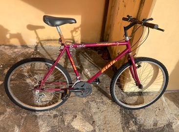 Bicicletta Mountain bike