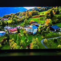 Sony oled A8 65 pollici 4k 4hdmi