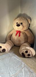 Orso gigante
