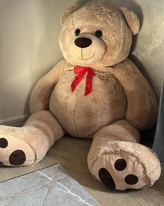 Orso gigante