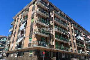 AMPIO TRILOCALE LIBERO SUBITO!