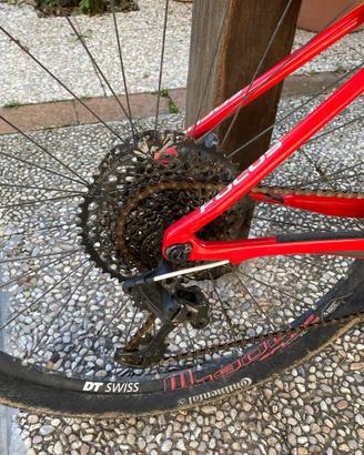 Bici mtb focus
