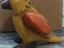Immagine 2