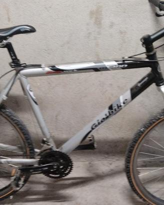 bici montabiker 