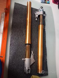 forcelle ohlins assiali tuono 1000 rsv 1000 gen 1 