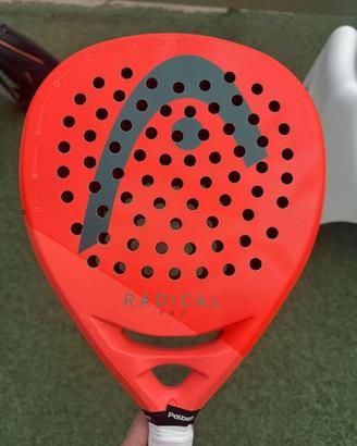 Pala head motion 2026