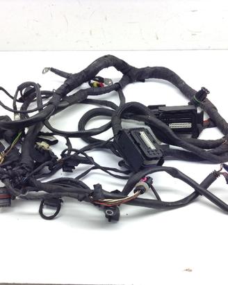 BMW F800 R F 800 IMPIANTO ELETTRICO CAVI MATASSA C