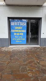 Locale commerciale viale europa 37/a
