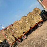 fieno di primo taglio