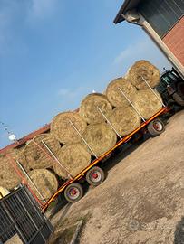 fieno di primo taglio