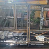 Gabbia  cova/voliera