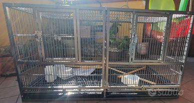 Gabbia  cova/voliera