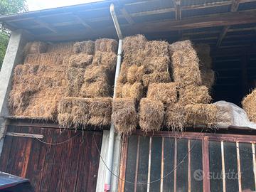 Fieno in balle piccole 2024