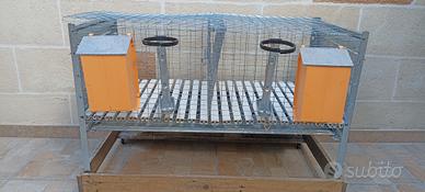 gabbia per conigli 