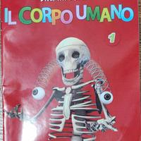 Scheletro montabile divertiti e scopri il corpo um