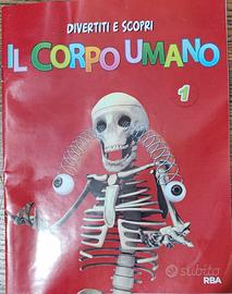 Scheletro montabile divertiti e scopri il corpo um