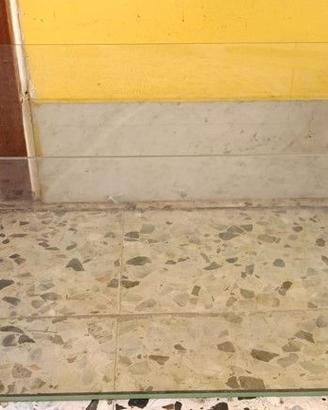 Acquario per pesci/tartarughe piccole 80 litri