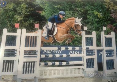 Pony femmina di 9 anni