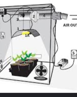 Grow box