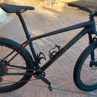 mtb specialaized misura L