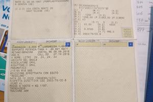 DAIHATSU Terios 2ª serie