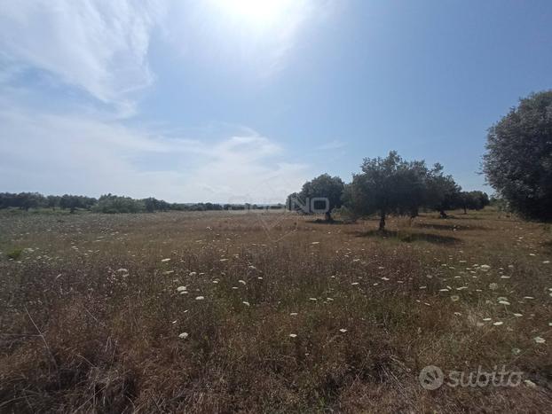 Terreno Agricolo - Siracusa