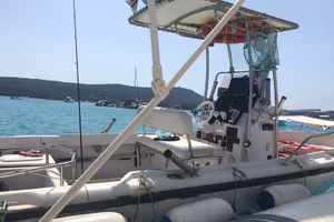 Boston Whaler 17 II Outrage – Mercury EFI 150 CV