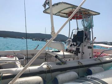 Boston Whaler 17 II Outrage – Mercury EFI 150 CV
