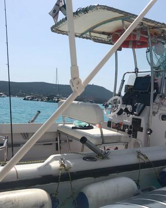 Boston Whaler 17 II Outrage – Mercury EFI 150 CV