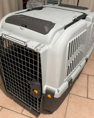 Kennel per cani grandi