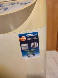 Pinguino de Longhi