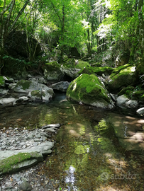 Casetta in borgo appenninico