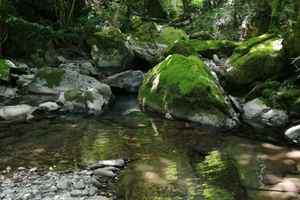 Casetta in borgo appenninico