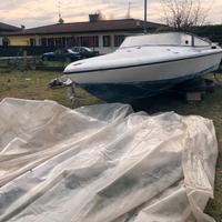 tullio abbate sea star 20