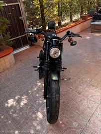 Harley Davidson 883 Iron