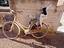 Immagine 1