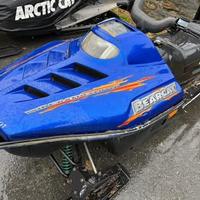 Motoslitta articat 550 2t motore suzuki