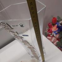 Vaso decorato in argento 925%