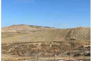 Terreno Agricolo Sommatino [A4325738]