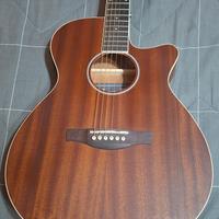 

IBANEZ AEG7MH OPN Open Pore Natural