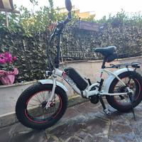 Bici elettrica Bafang 20 pollici fat