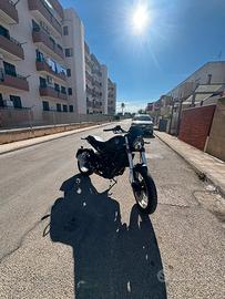 benelli leoncino 500 TRAIL