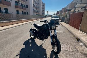 benelli leoncino 500 TRAIL