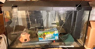 acquario accessoriato 