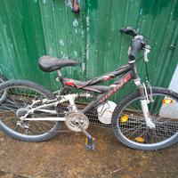 bici vicini 24"