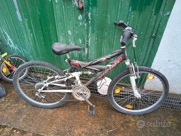 bici vicini 24"