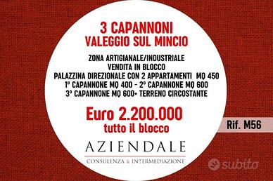 Immobile di 2131 m² a Valeggio sul Mincio